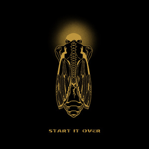 二区三区美女视频
