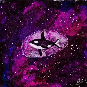 二区三区美女视频
