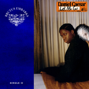 二区三区美女视频
