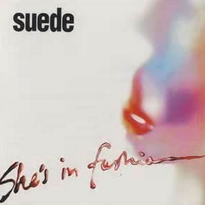 二区三区美女视频
