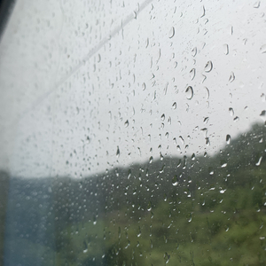 二区三区美女视频
