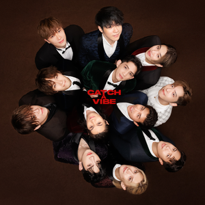 二区三区美女视频
