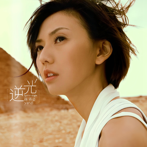 二区三区美女视频
